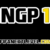 RNGP 15
